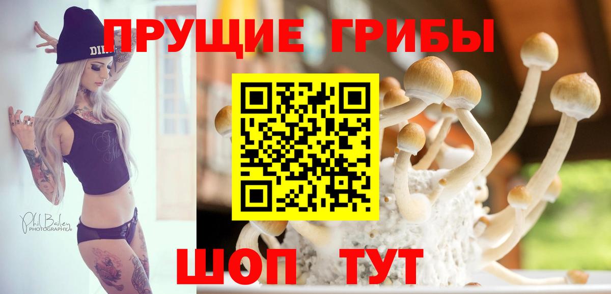 Ликино-Дулёво  Галлюциногенные грибы Psilocybe  Вход с VPN  Псилоцибиновые грибы прущие грибы 